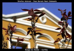 curitiba fotos,curitiba imagens,curitiba fotografias,curitiba postais