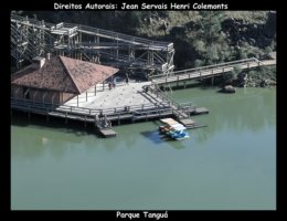 curitiba fotos,curitiba imagens,curitiba fotografias,curitiba postais