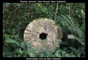 curitiba fotos,curitiba imagens,curitiba fotografias,curitiba postais