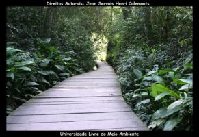 curitiba fotos,curitiba imagens,curitiba fotografias,curitiba postais