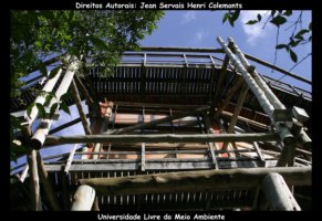 curitiba fotos,curitiba imagens,curitiba fotografias,curitiba postais