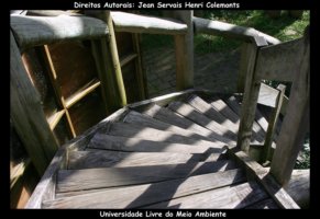 curitiba fotos,curitiba imagens,curitiba fotografias,curitiba postais