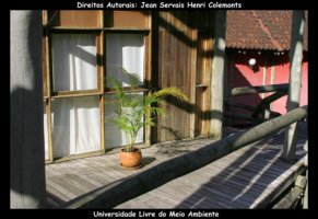 curitiba fotos,curitiba imagens,curitiba fotografias,curitiba postais