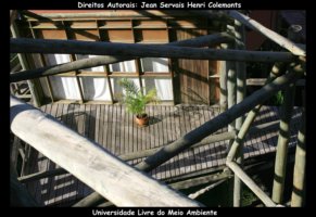 curitiba fotos,curitiba imagens,curitiba fotografias,curitiba postais