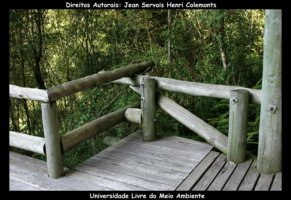 curitiba fotos,curitiba imagens,curitiba fotografias,curitiba postais