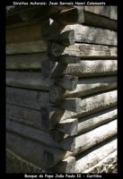 curitiba fotos,curitiba imagens,curitiba fotografias,curitiba postais