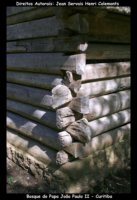 curitiba fotos,curitiba imagens,curitiba fotografias,curitiba postais