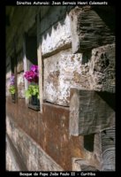 curitiba fotos,curitiba imagens,curitiba fotografias,curitiba postais