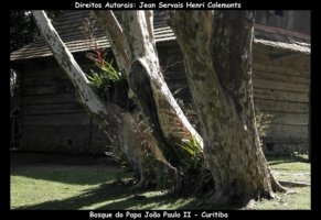 curitiba fotos,curitiba imagens,curitiba fotografias,curitiba postais