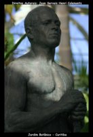 curitiba fotos,curitiba imagens,curitiba fotografias,curitiba postais