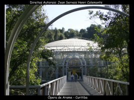 curitiba fotos,curitiba imagens,curitiba fotografias,curitiba postais