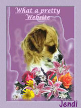 what a pretty website